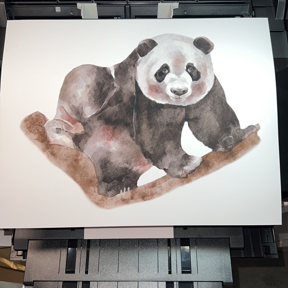 Watercolor Panda Portrait Wall Art Print Poster Unframed - Picture 14 of 16